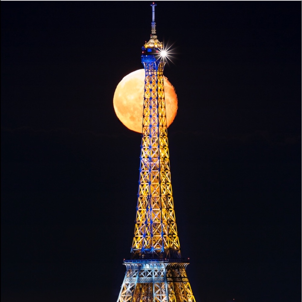 Meet your Posher, Natalie